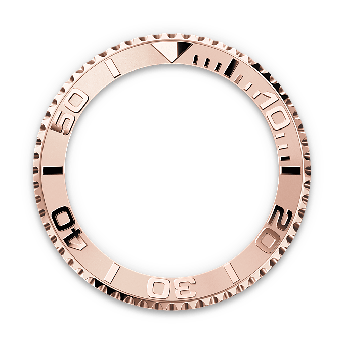 Bidirectioneel draaibare bezel