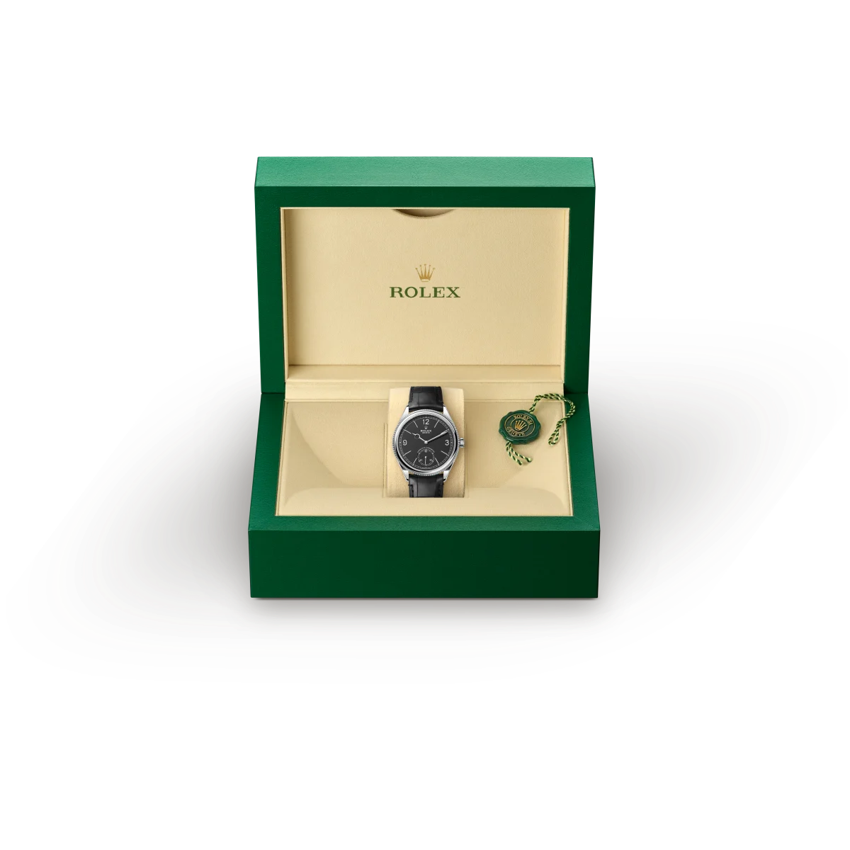 Rolex watch box